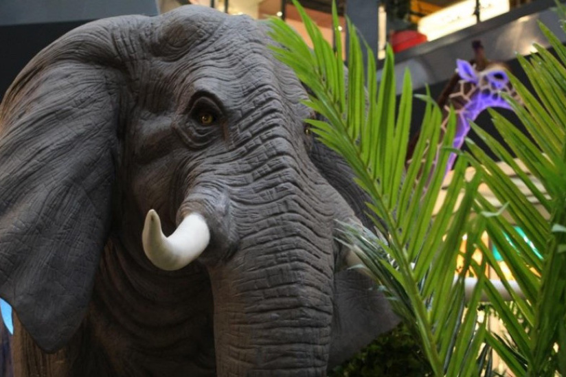 Les animaux de la savane débarquent à Parly 2