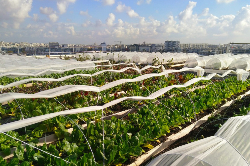 De la bière fabriquée sur les toits des hôtels Mercure Tour Eiffel et Montmartre
