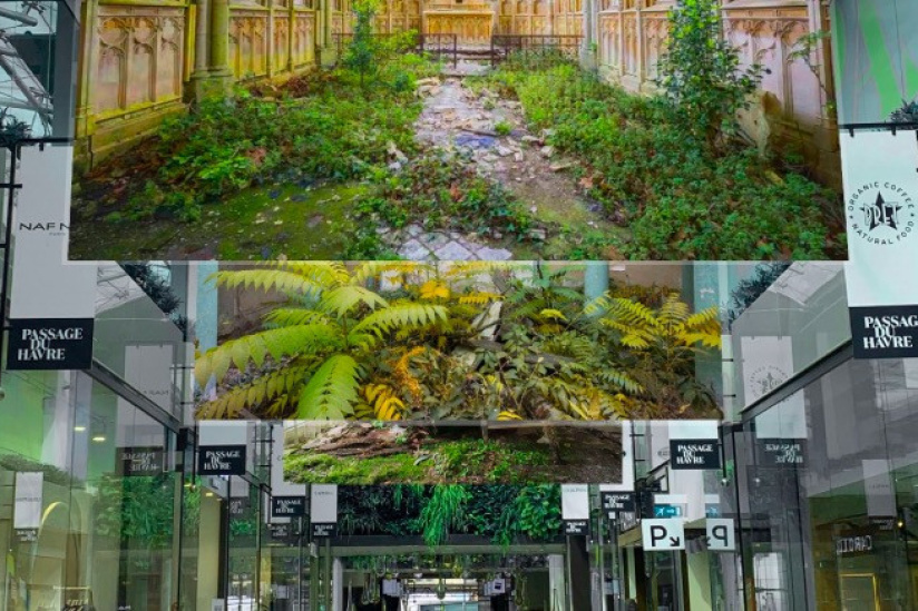 Exposition 'La Nature reprend ses droits' au Passage du Havre