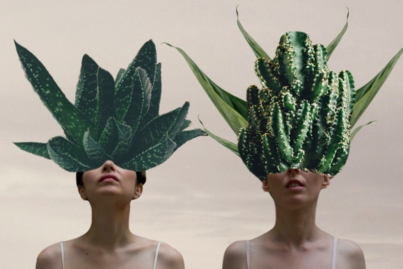 Festival Fédéchansons 2019 : à la découverte de la nouvelle scène francophone