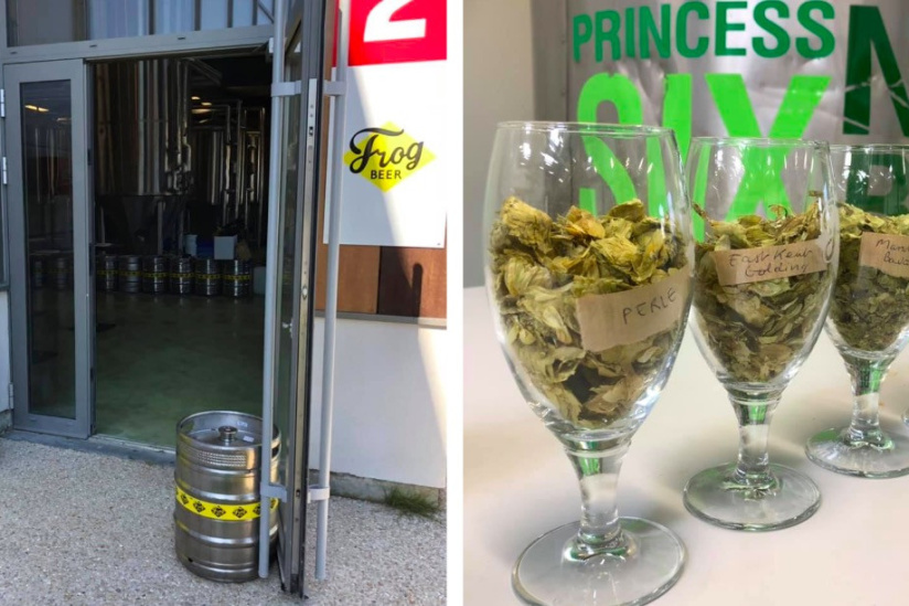Visites guidées et dégustations à la brasserie FrogBeer