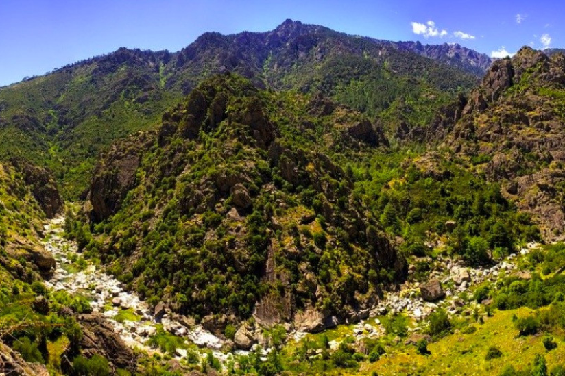 Covid : Test de dépistage obligatoire pour passer les fêtes en Corse