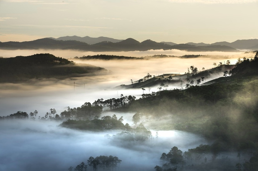 Covid : Découverte d'un nouveau variant au Vietnam