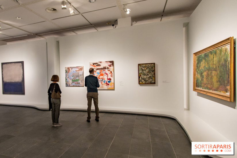 Les Nymphéas et artistes abstraits au Musée de l'Orangerie