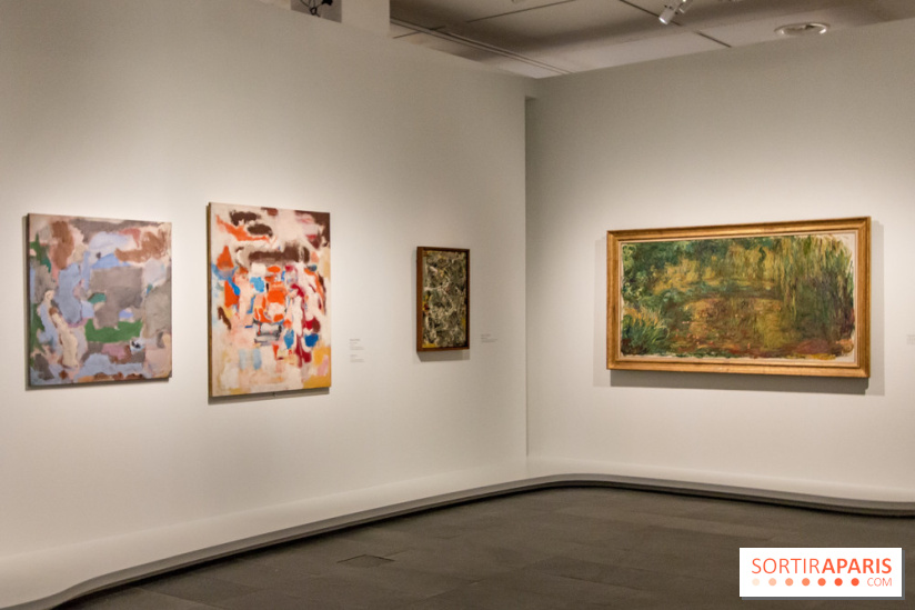 Les Nymphéas et artistes abstraits au Musée de l'Orangerie