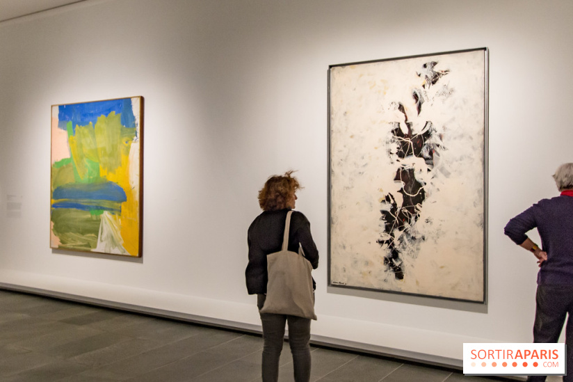 Les Nymphéas et artistes abstraits au Musée de l'Orangerie