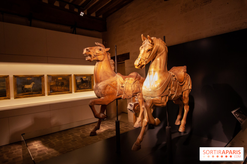 Nature, le spectacle équestre à Chantilly