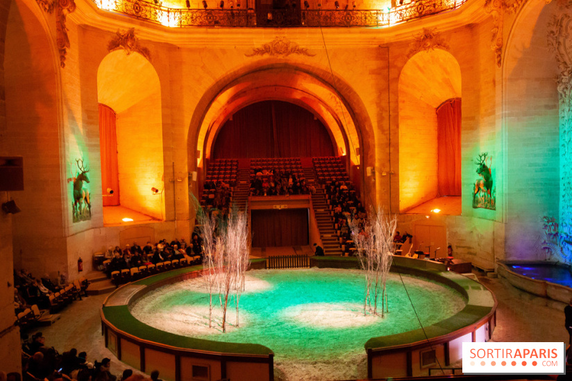 Nature, le spectacle équestre à Chantilly