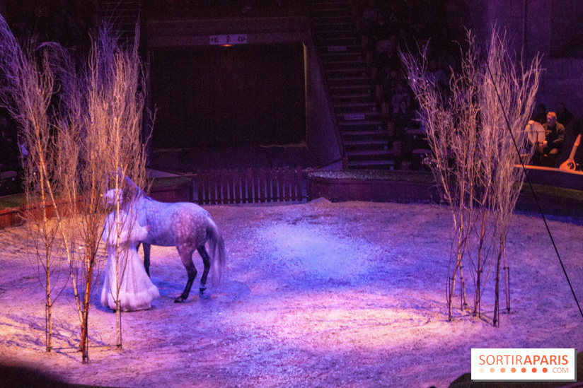 Nature, le spectacle équestre à Chantilly