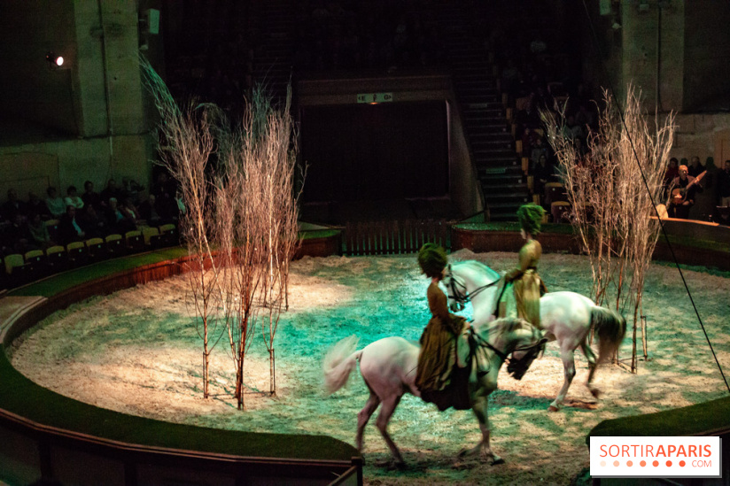 Nature, le spectacle équestre à Chantilly