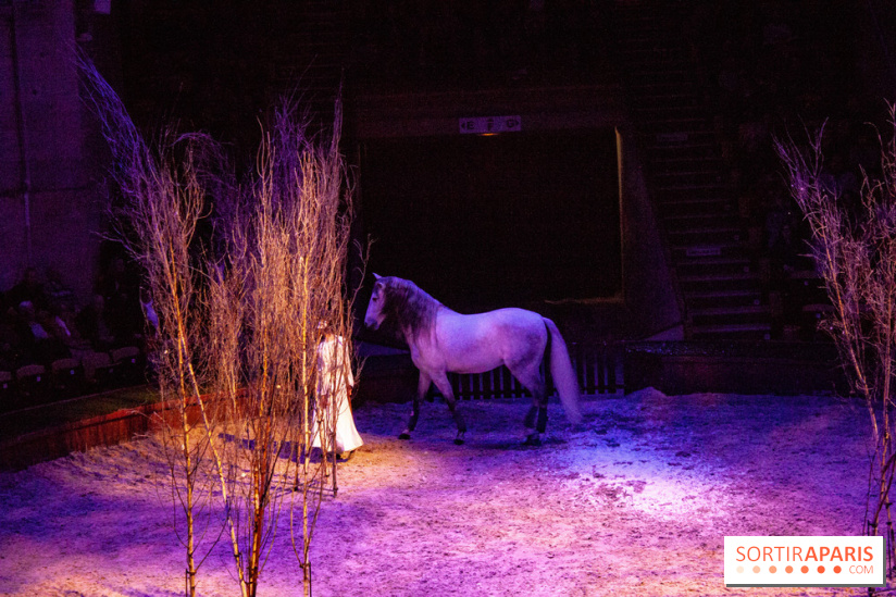 Nature, le spectacle équestre à Chantilly