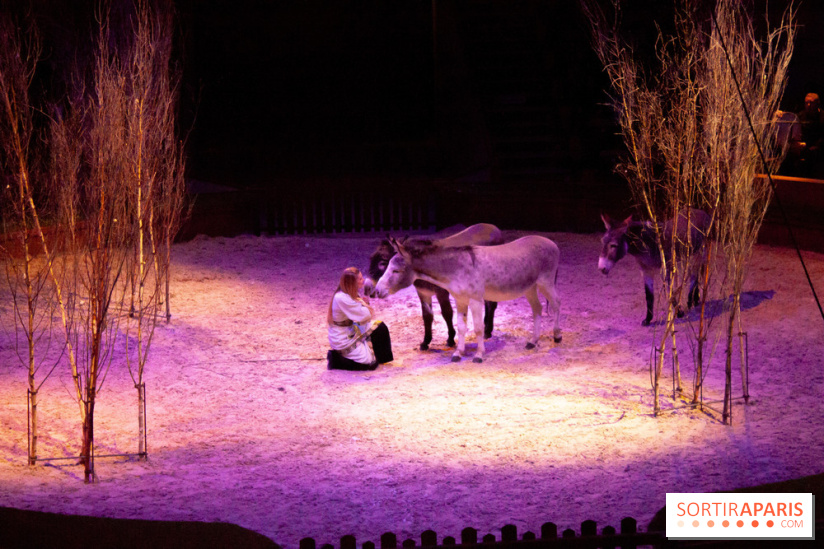 Nature, le spectacle équestre à Chantilly