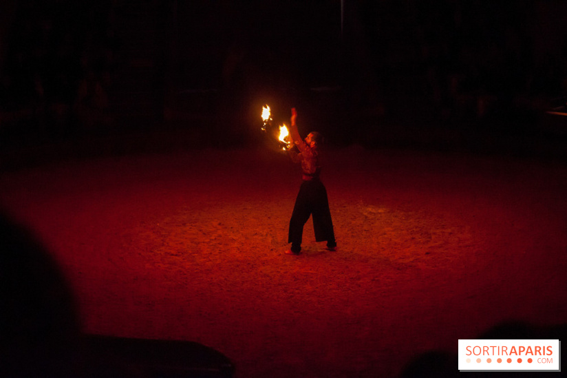Nature, le spectacle équestre à Chantilly