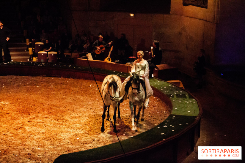 Nature, le spectacle équestre à Chantilly