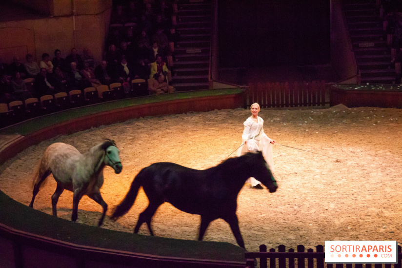 Nature, le spectacle équestre à Chantilly