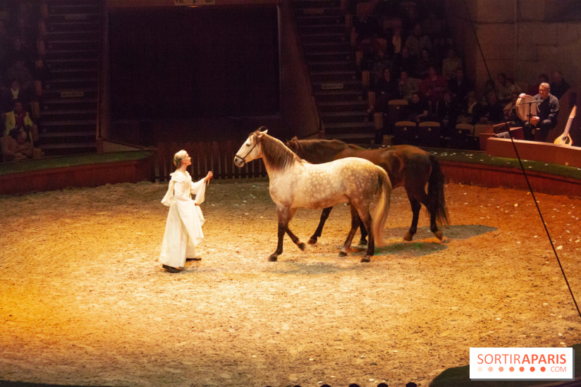 Nature, le spectacle équestre à Chantilly