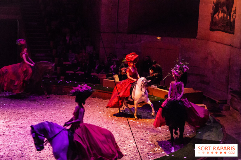 Nature, le spectacle équestre à Chantilly