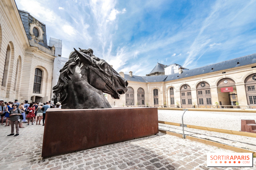 Nature, le spectacle équestre aux Grandes Ecuries du Domaine de Chantilly