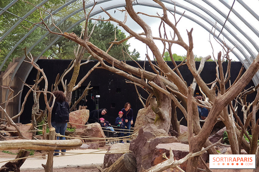 Zoo de Thoiry 2018 : les photos