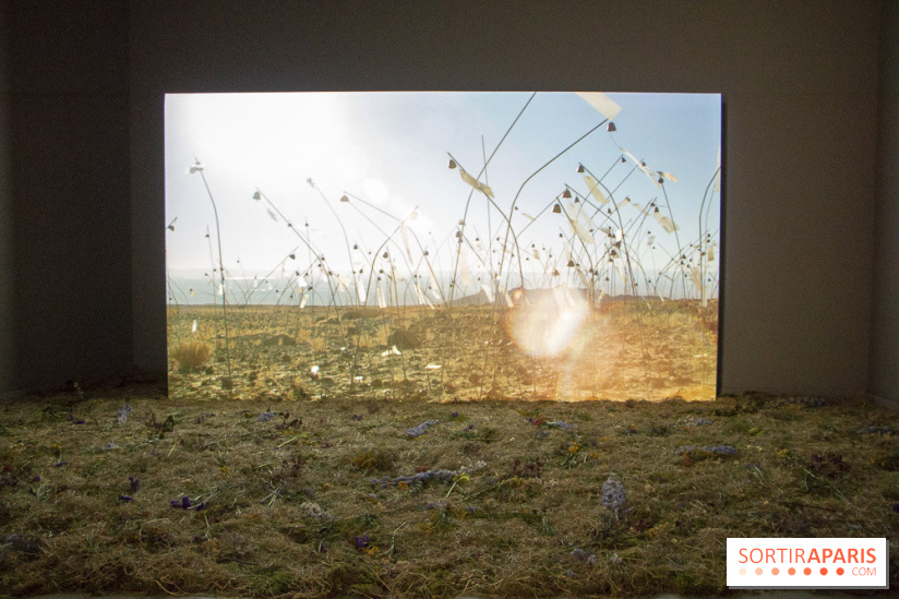 Nocturne dédiée au monde Kawaii à la Fondation Louis Vuitton : les photos