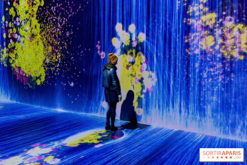 Teamlab : au delà des limites à la Villette, les photos