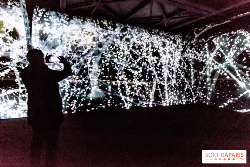Teamlab : au delà des limites à la Villette, les photos