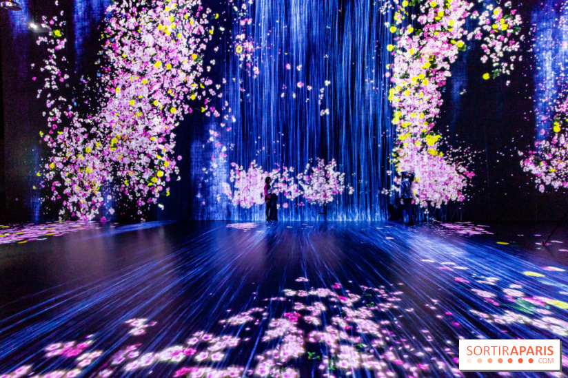 Teamlab : au delà des limites à la Villette, les photos