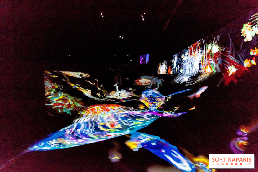 Teamlab : au delà des limites à la Villette, les photos