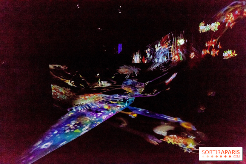 Teamlab : au delà des limites à la Villette, les photos