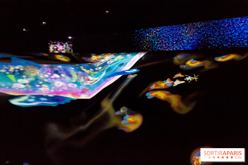 Teamlab : au delà des limites à la Villette, les photos