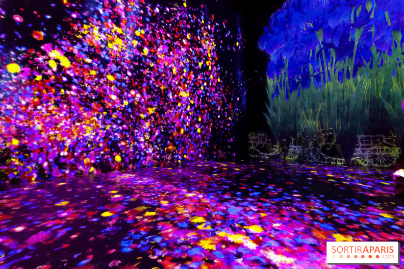 Teamlab : au delà des limites à la Villette, les photos