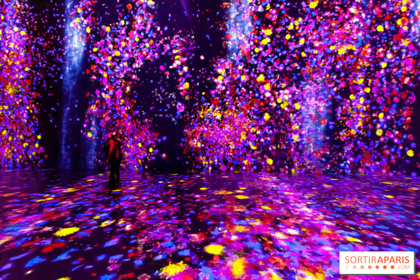 Teamlab : au delà des limites à la Villette, les photos