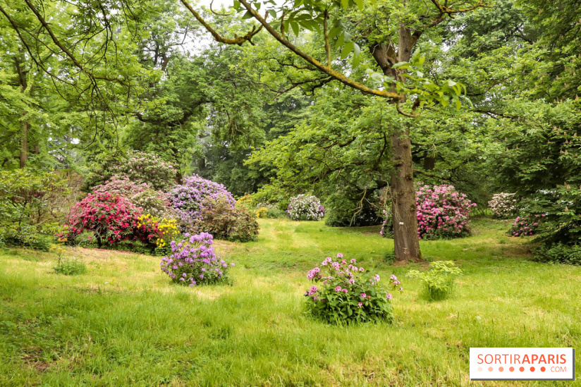 L'Arboretum de Versailles - Chevreloup