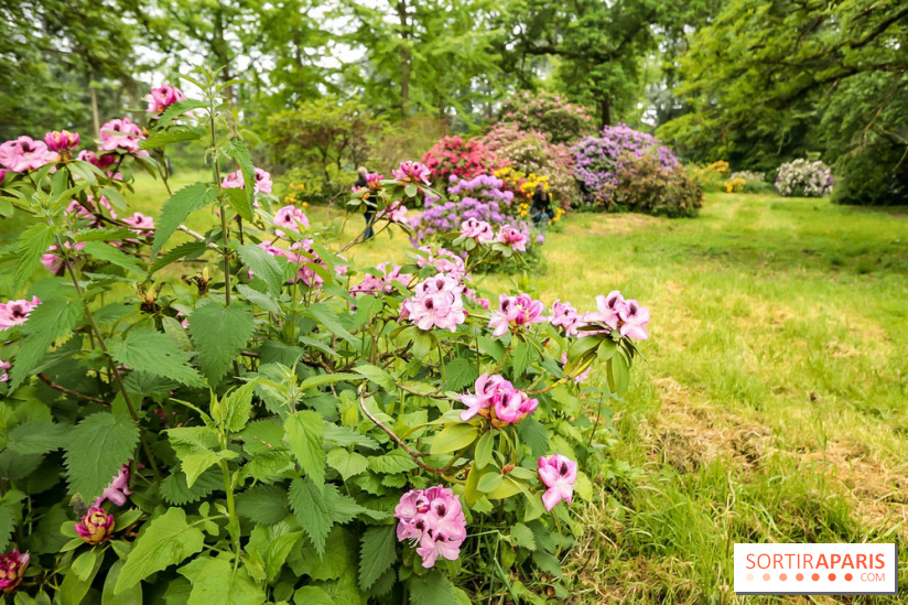 L'Arboretum de Versailles - Chevreloup