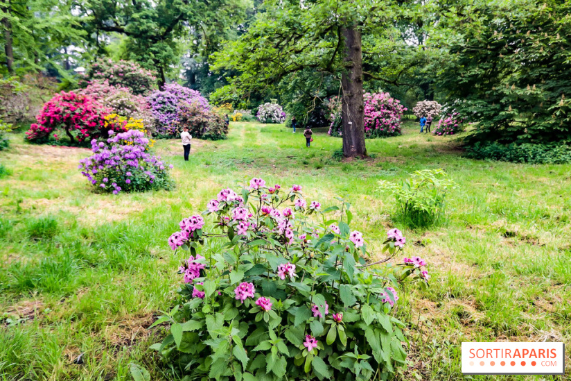 L'Arboretum de Versailles - Chevreloup