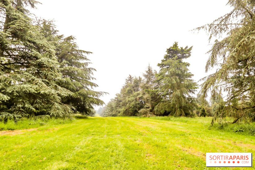 L'Arboretum de Versailles - Chevreloup