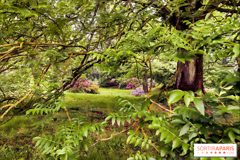 L'Arboretum de Versailles - Chevreloup