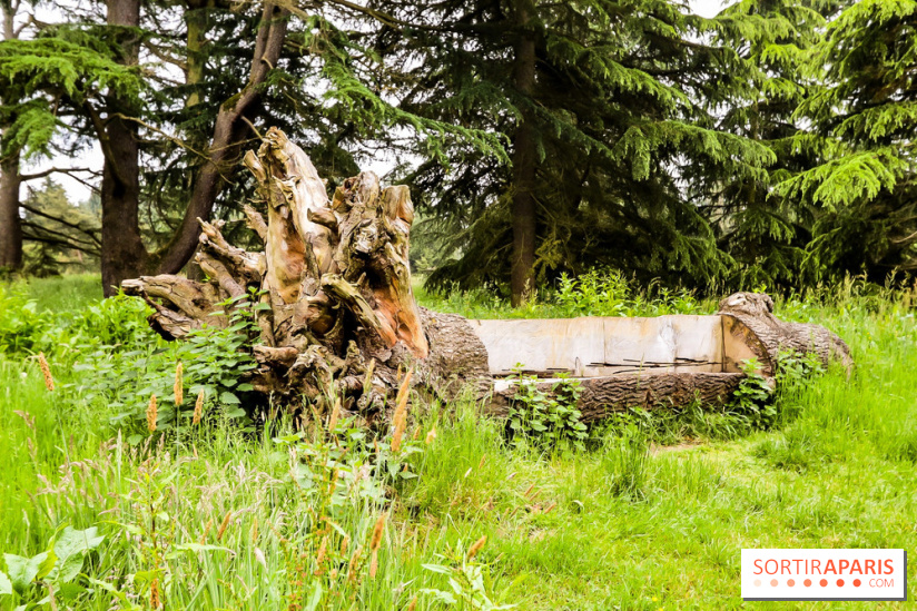 L'Arboretum de Versailles - Chevreloup