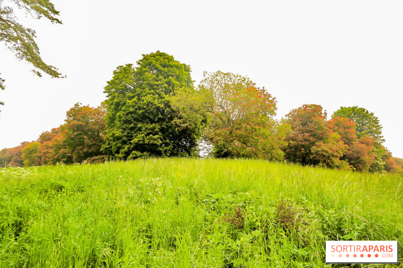 L'Arboretum de Versailles - Chevreloup