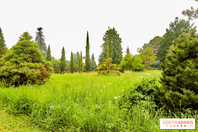 L'Arboretum de Versailles - Chevreloup