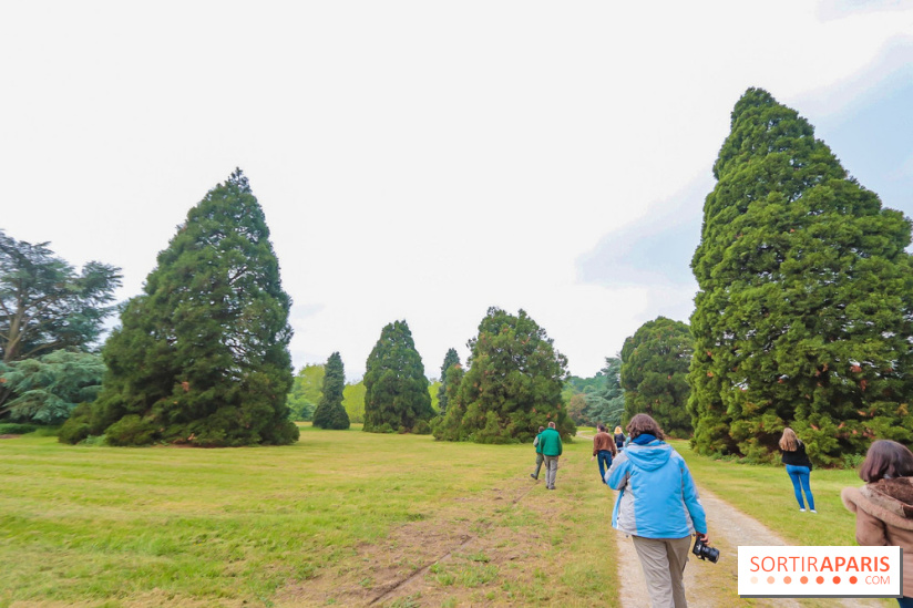 L'Arboretum de Versailles - Chevreloup