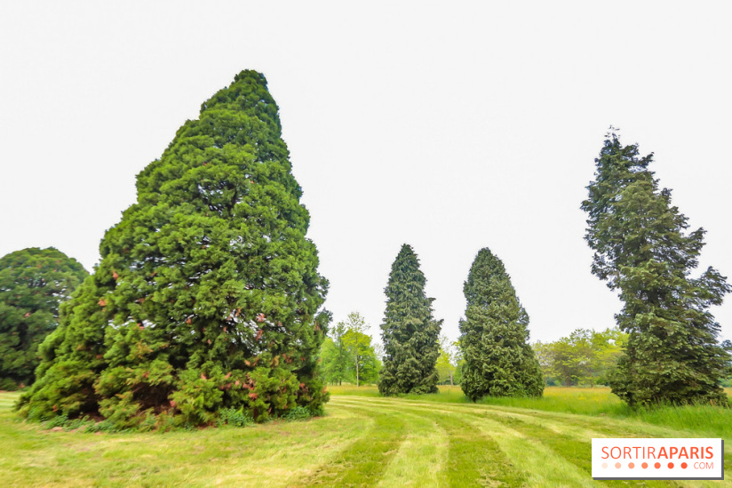 L'Arboretum de Versailles - Chevreloup