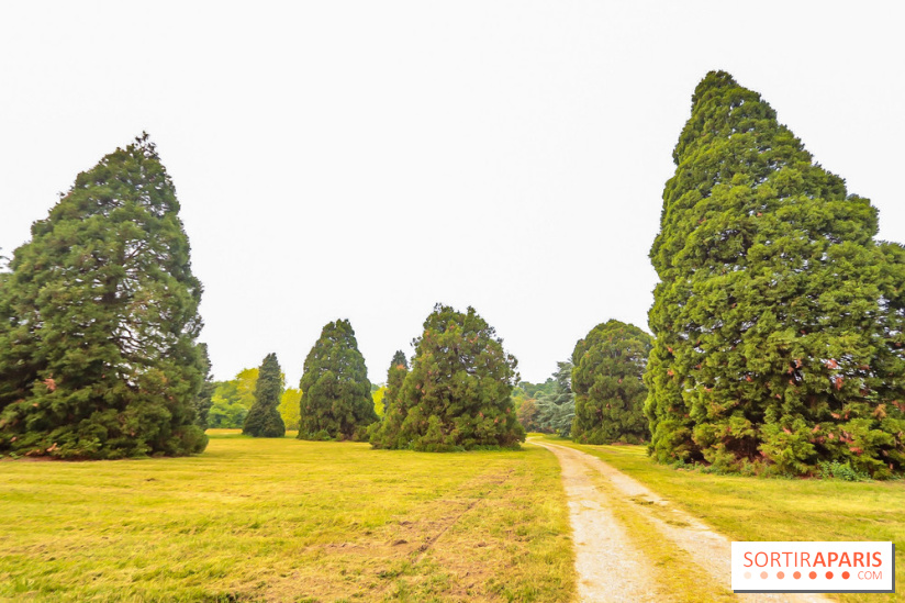 L'Arboretum de Versailles - Chevreloup