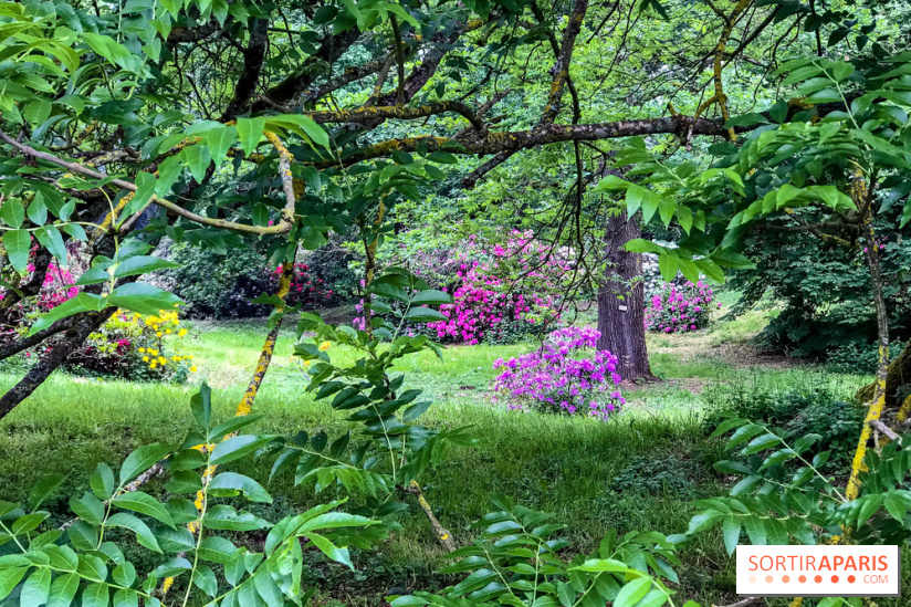 L'Arboretum de Versailles - Chevreloup