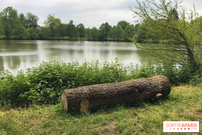 L'Arboretum de Versailles - Chevreloup