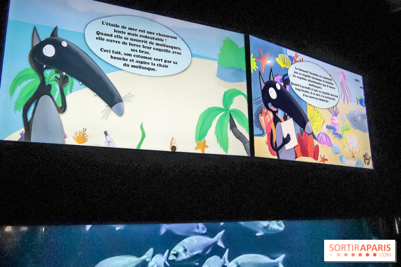 Loup préserve les océans à l'Aquarium de Paris, les photos