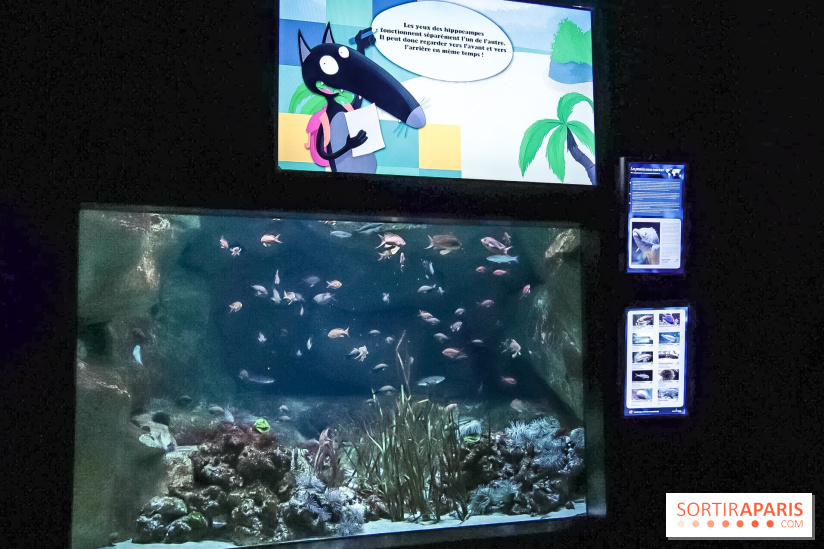 Loup préserve les océans à l'Aquarium de Paris, les photos