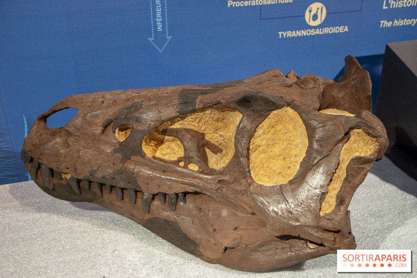 Un T-Rex à Paris : les photos