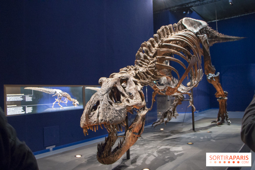 Un T-Rex à Paris : les photos