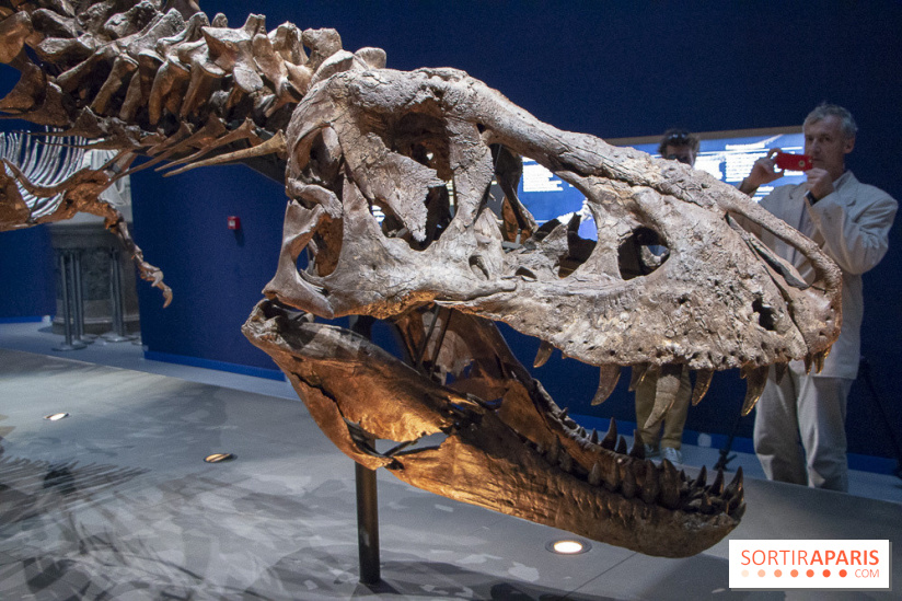 Un T-Rex à Paris : les photos